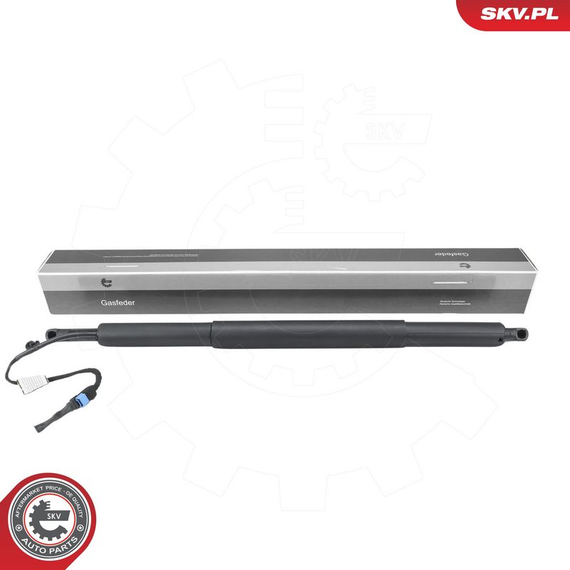 Elektrimootor, tagaluuk, ESEN SKV 52SKV208