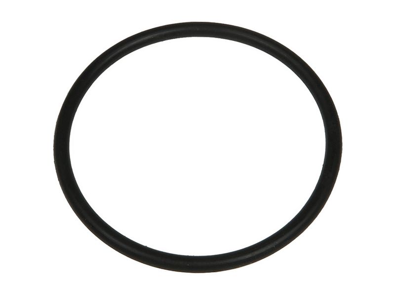 Brand new AS-PL Starter motor o-ring