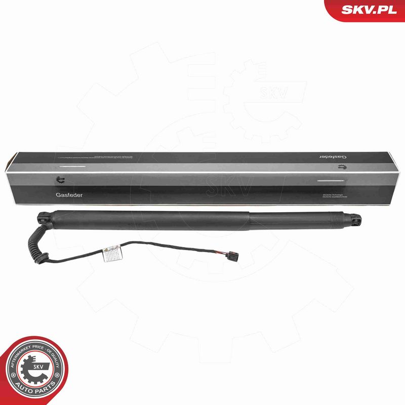 ESEN SKV 52SKV234 - Electric Motor, tailgate