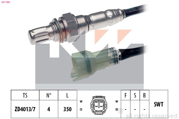 497 488-KW.JPG