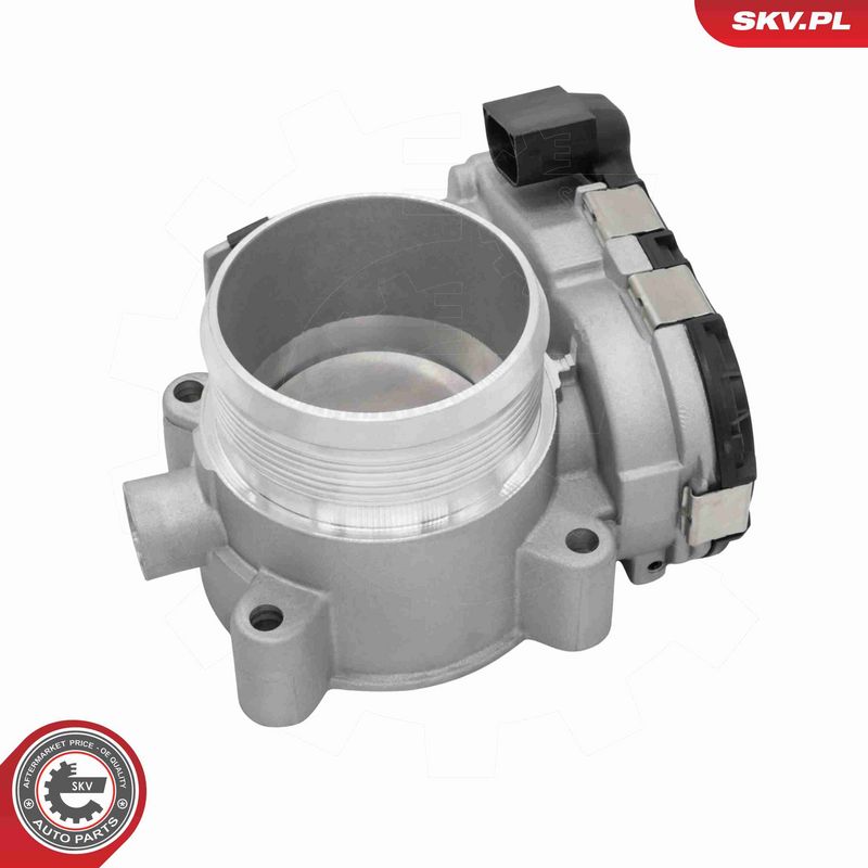 ESEN SKV 12SKV166 Throttle Body