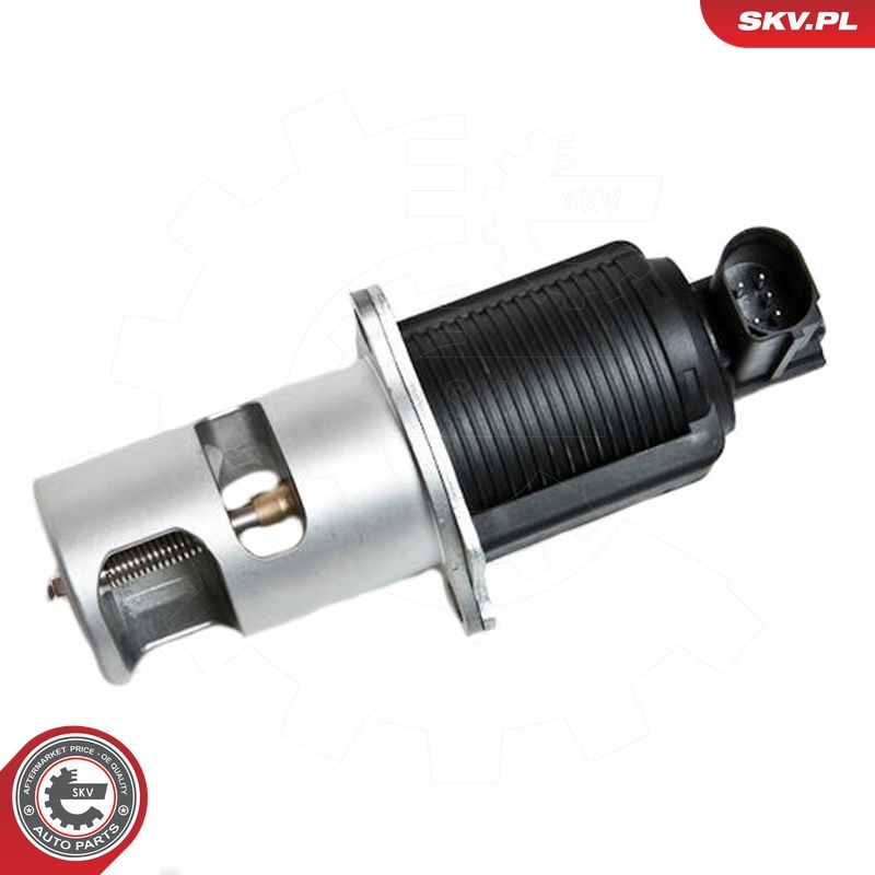 EGR-klapp, ESEN SKV 14SKV032