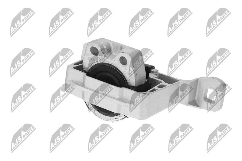 Paigutus, Mootor, NTY ZPS-FR-045