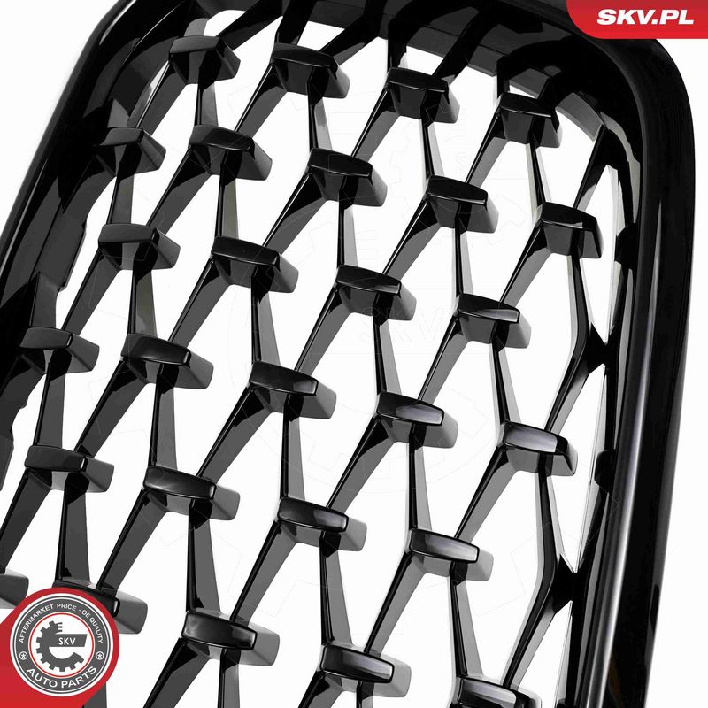 ESEN SKV 66SKV269 Radiator Grille