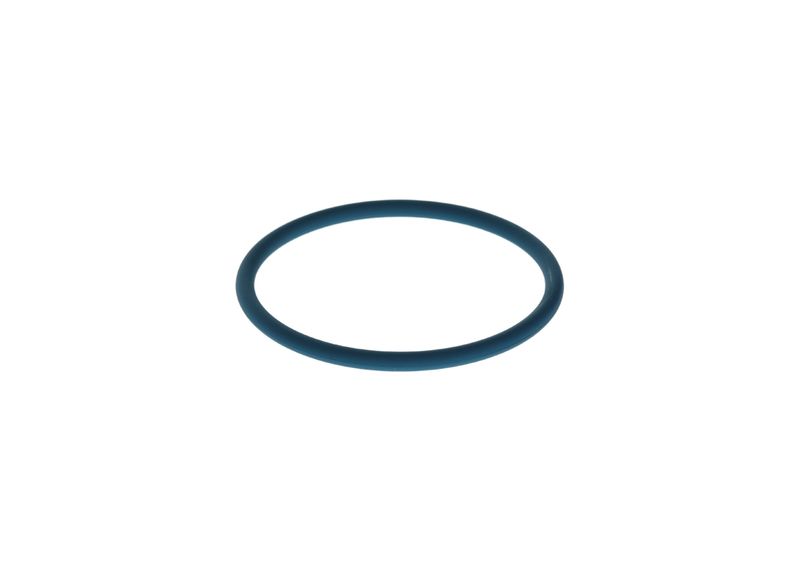 Inel cauciuc F 00N 204 108 BOSCH