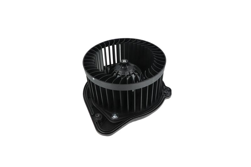 Salongipuhur, NRF 34136