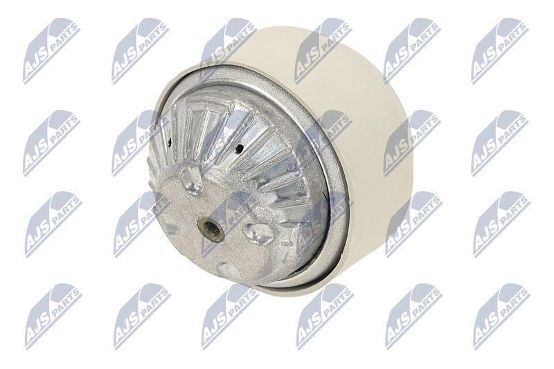 Paigutus, Mootor, NTY ZPS-ME-102