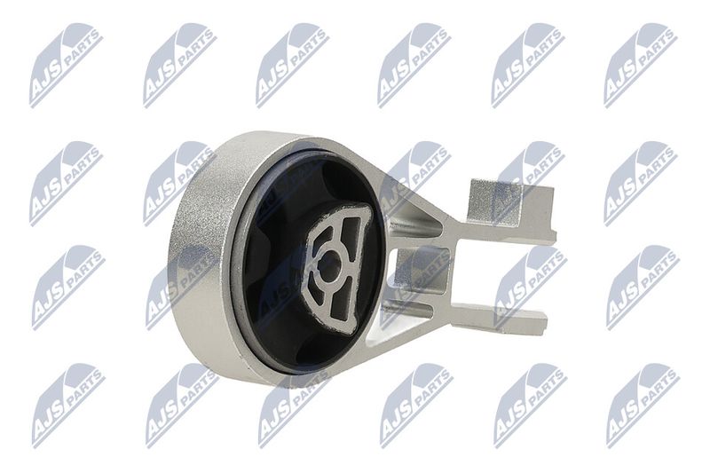 Paigutus, Mootor, NTY ZPS-PL-002