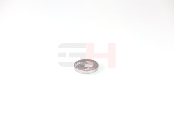 caster shim, sillatala, GH GH-391582