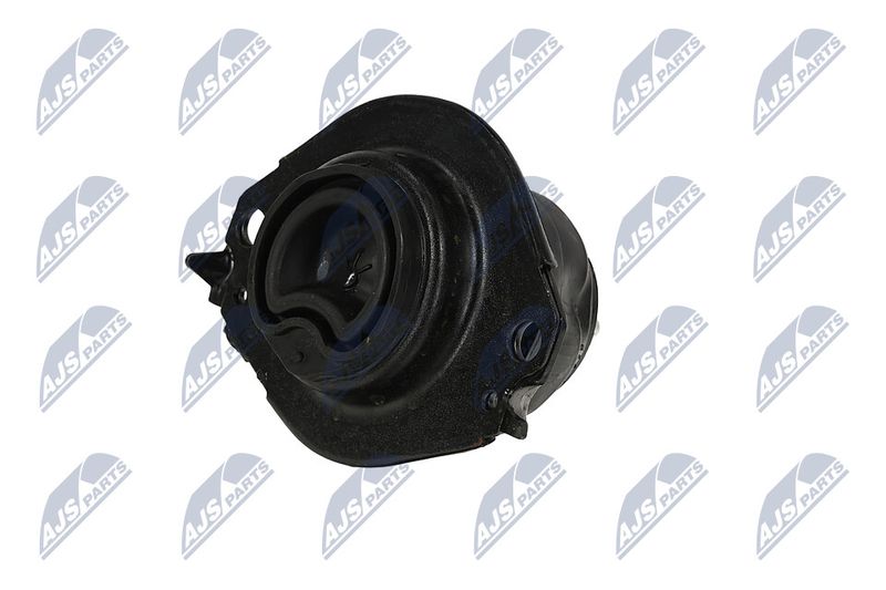 Paigutus, Mootor, NTY ZPS-CH-076