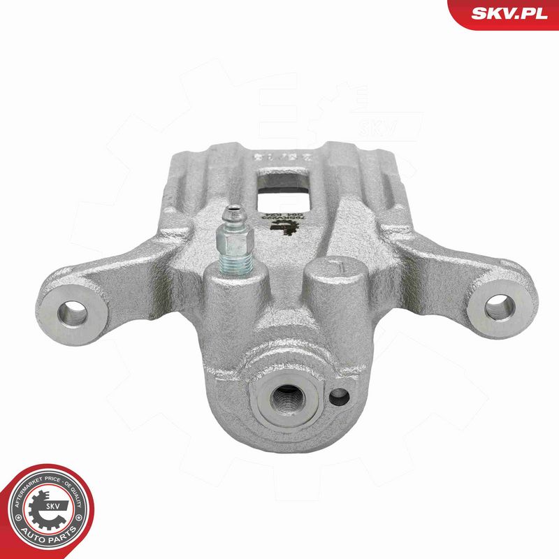 ESEN SKV 79SKV223 Brake Caliper