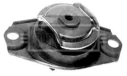 BEM3053_209912.JPG
