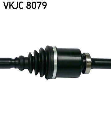 VKJC 8079_3.JPG