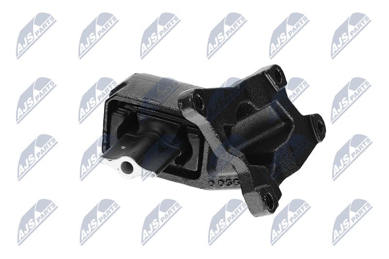 Paigutus, Mootor, NTY ZPS-CH-030