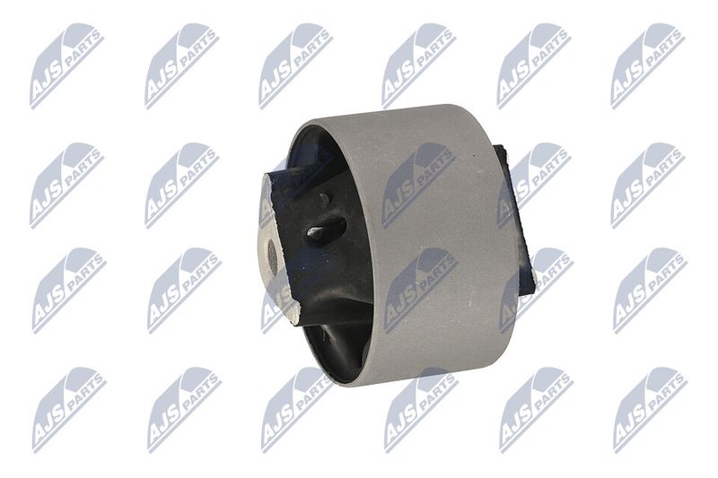 Paigutus, Mootor, NTY ZPS-CH-039