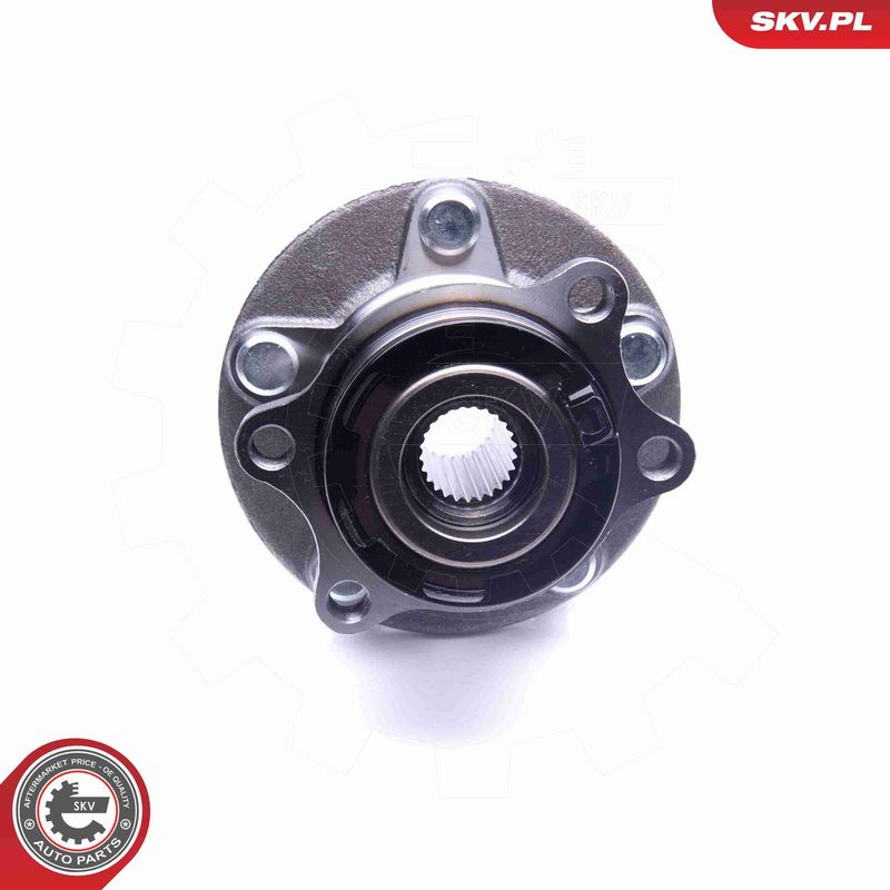 ESEN SKV 29SKV262 Wheel Bearing Kit