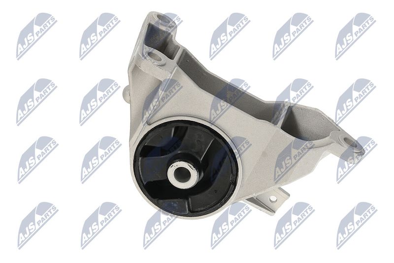 Paigutus, Mootor, NTY ZPS-PL-039