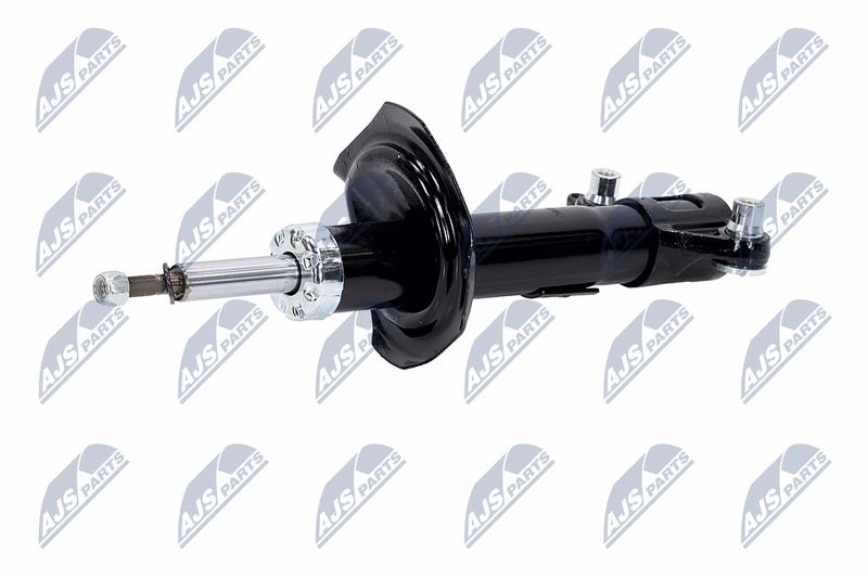 Amort, NTY A-NS-016