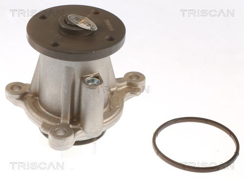 TRISCAN Vízszivattyú, motorhűtés 8600 43026
