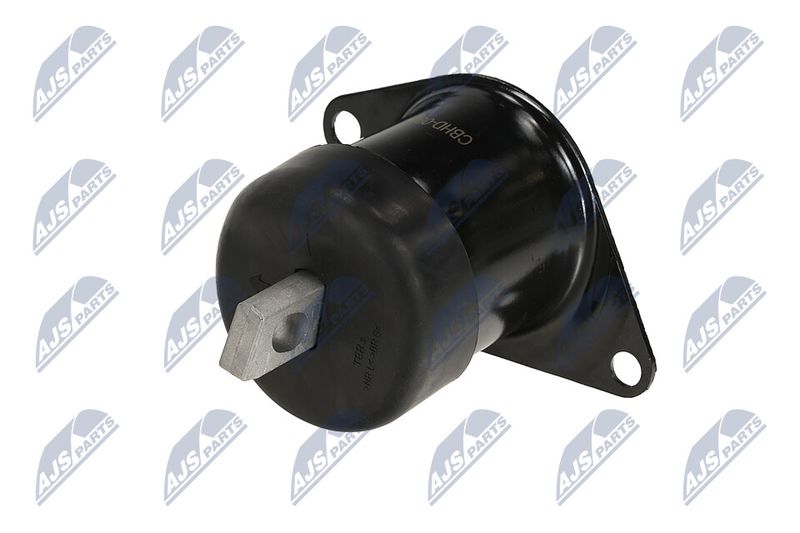 Paigutus, Mootor, NTY ZPS-HD-094