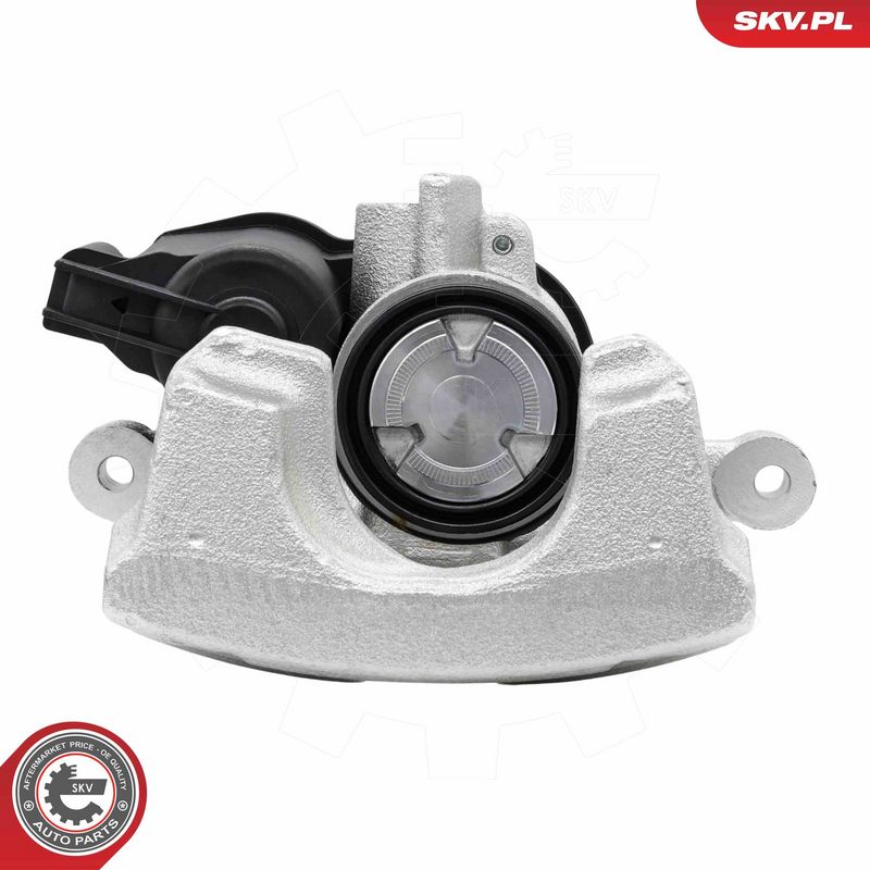 Pidurisadul, ESEN SKV 74SKV751