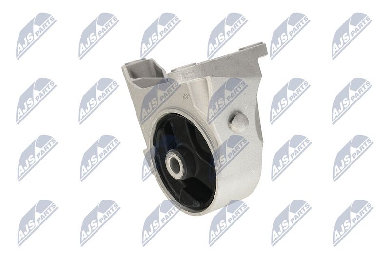 Paigutus, Mootor, NTY ZPS-PL-039