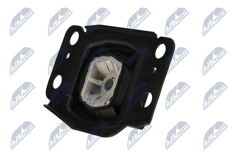 Paigutus, Mootor, NTY ZPS-FR-036