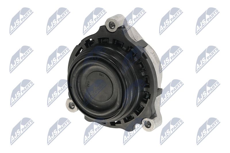 Paigutus, Mootor, NTY ZPS-BM-028