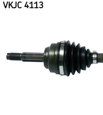 VKJC 4113_2.JPG