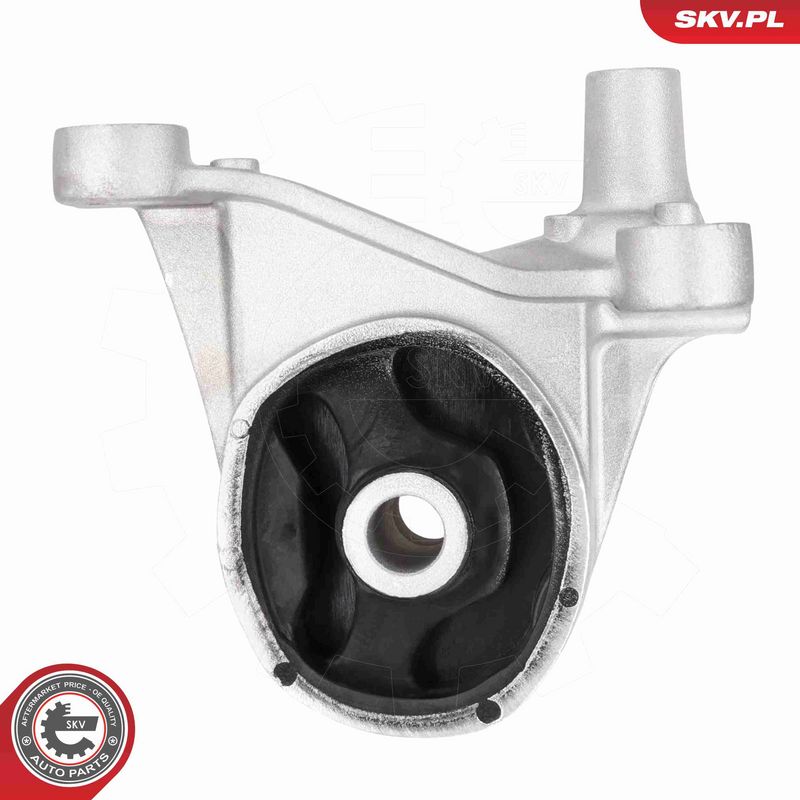 ESEN SKV 75SKV100 Mounting, engine