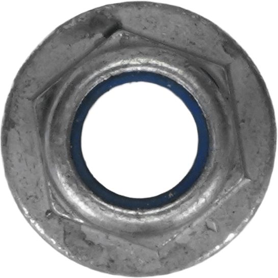 Amort, SACHS 350 393