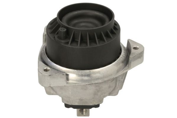REINHOCH RH11-3157 Mounting, engine