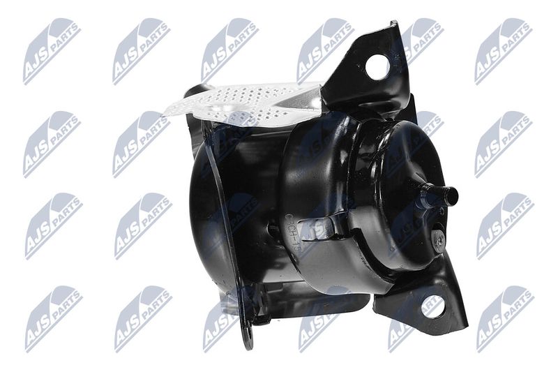 Paigutus, Mootor, NTY ZPS-CH-150