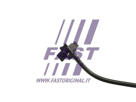 FT61161_3_1.JPG
