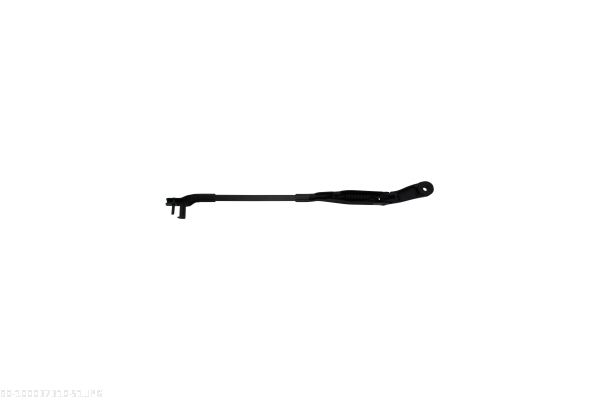 AUTOMEGA 100037310 Wiper Arm, window cleaning