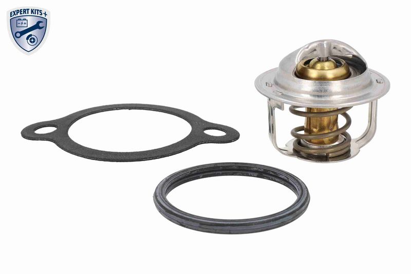 ACKOJA A64-99-0003 - Termostatas