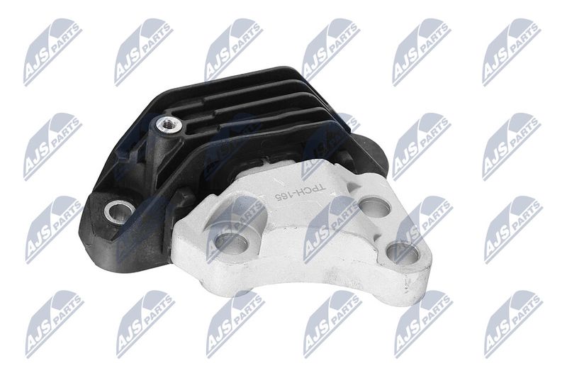 Paigutus, Mootor, NTY ZPS-CH-165