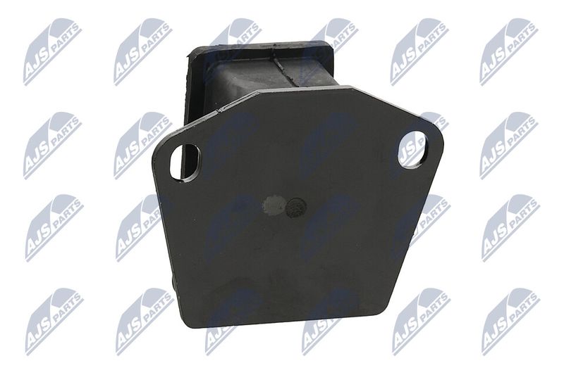 Paigutus, Mootor, NTY ZPS-MS-080