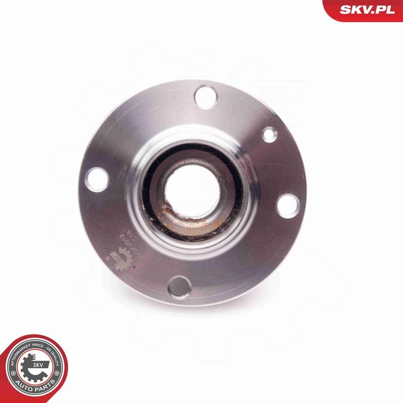 ESEN SKV 29SKV012 Wheel Bearing Kit