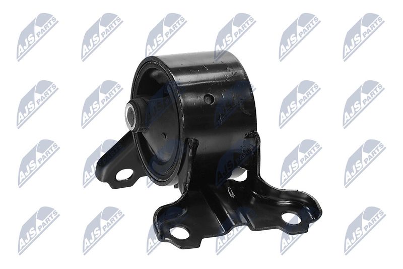 Paigutus, Mootor, NTY ZPS-CH-179