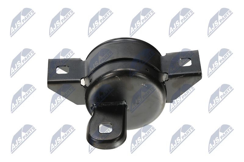 Paigutus, Mootor, NTY ZPS-DW-011