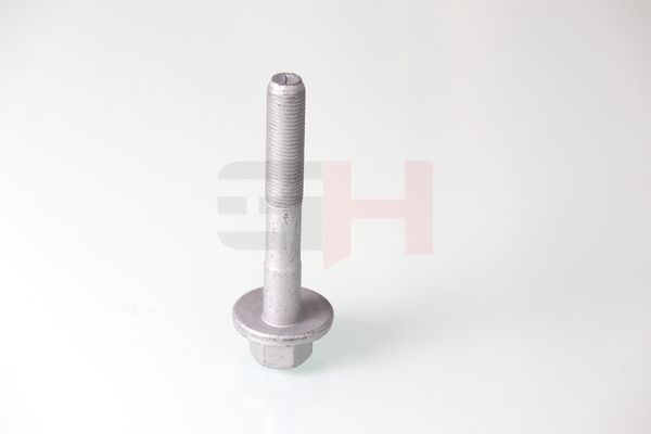GH GH-399901 Camber Correction Screw