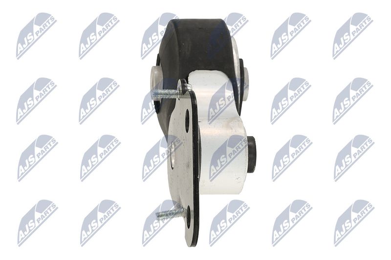 Paigutus, Mootor, NTY ZPS-CH-078