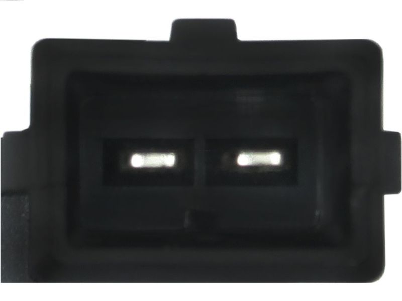 330795.JPG
