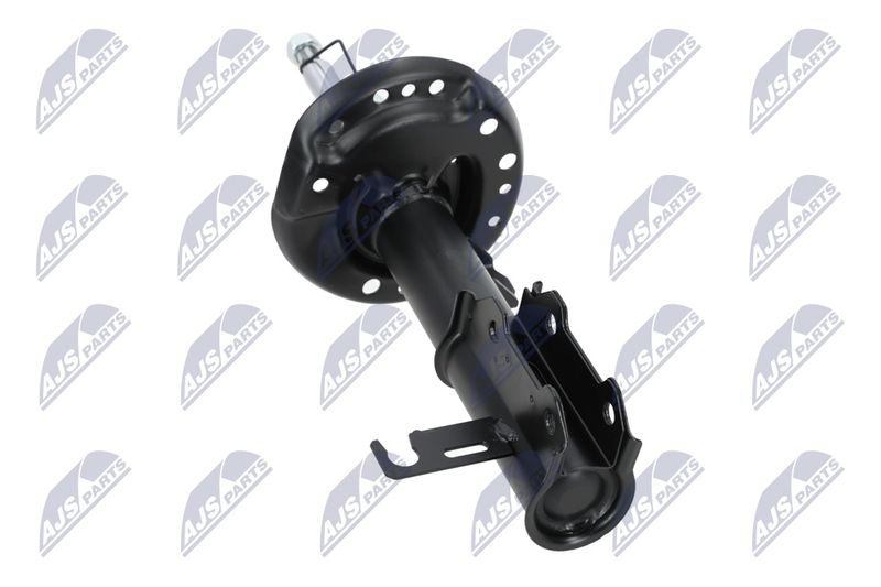 Amort, NTY A-PL-029