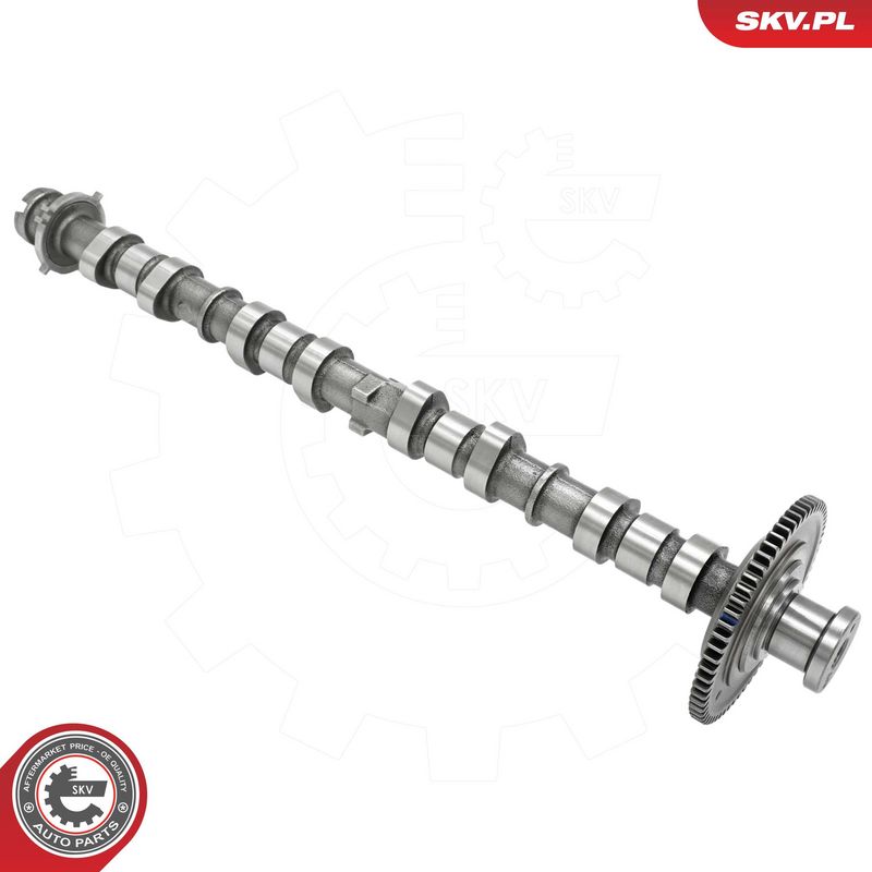 Nukkvõll, ESEN SKV 80SKV063