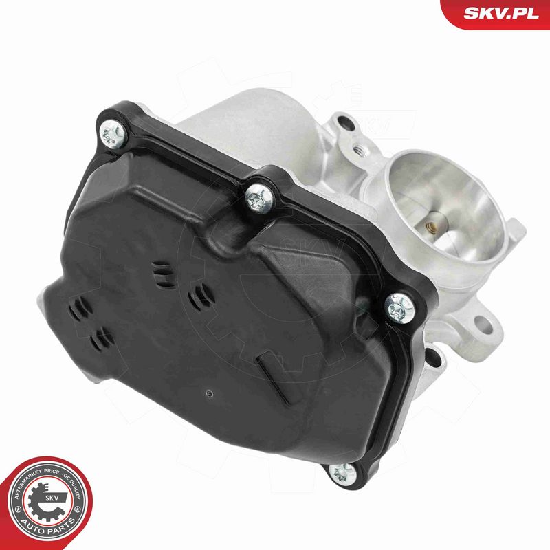 ESEN SKV 14SKV299 EGR Valve