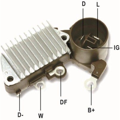 DDF_AMP0816_WR.JPG