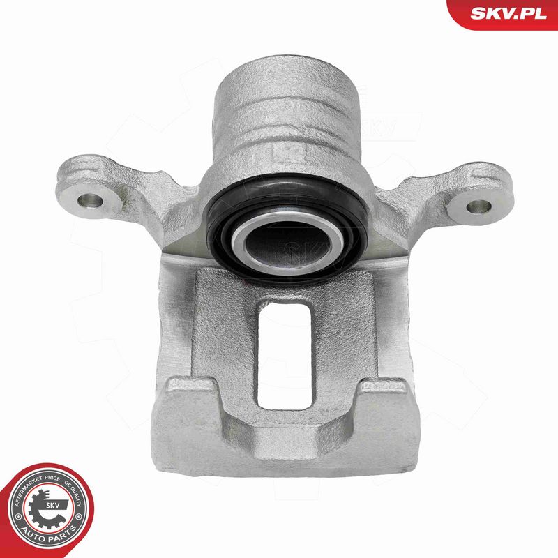 ESEN SKV 79SKV223 Brake Caliper
