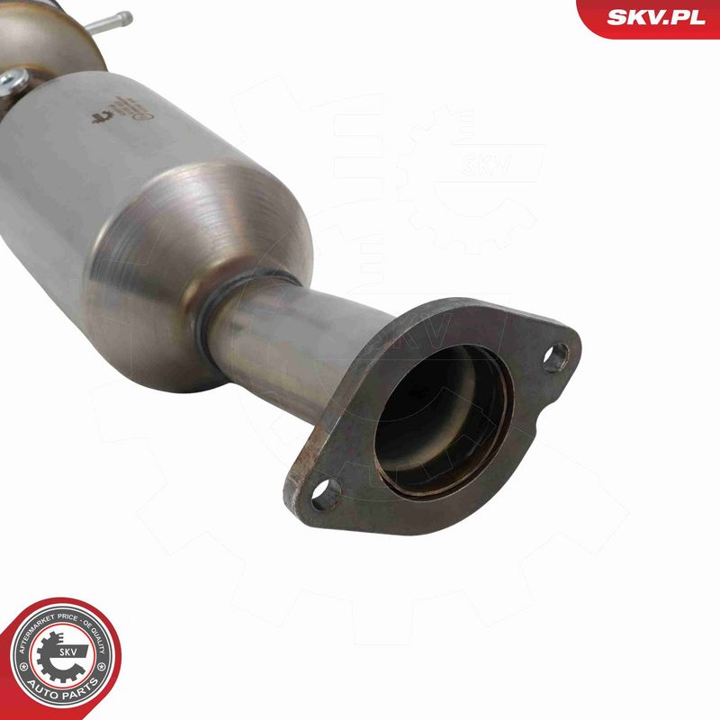 ESEN SKV 62SKV168 Catalytic Converter